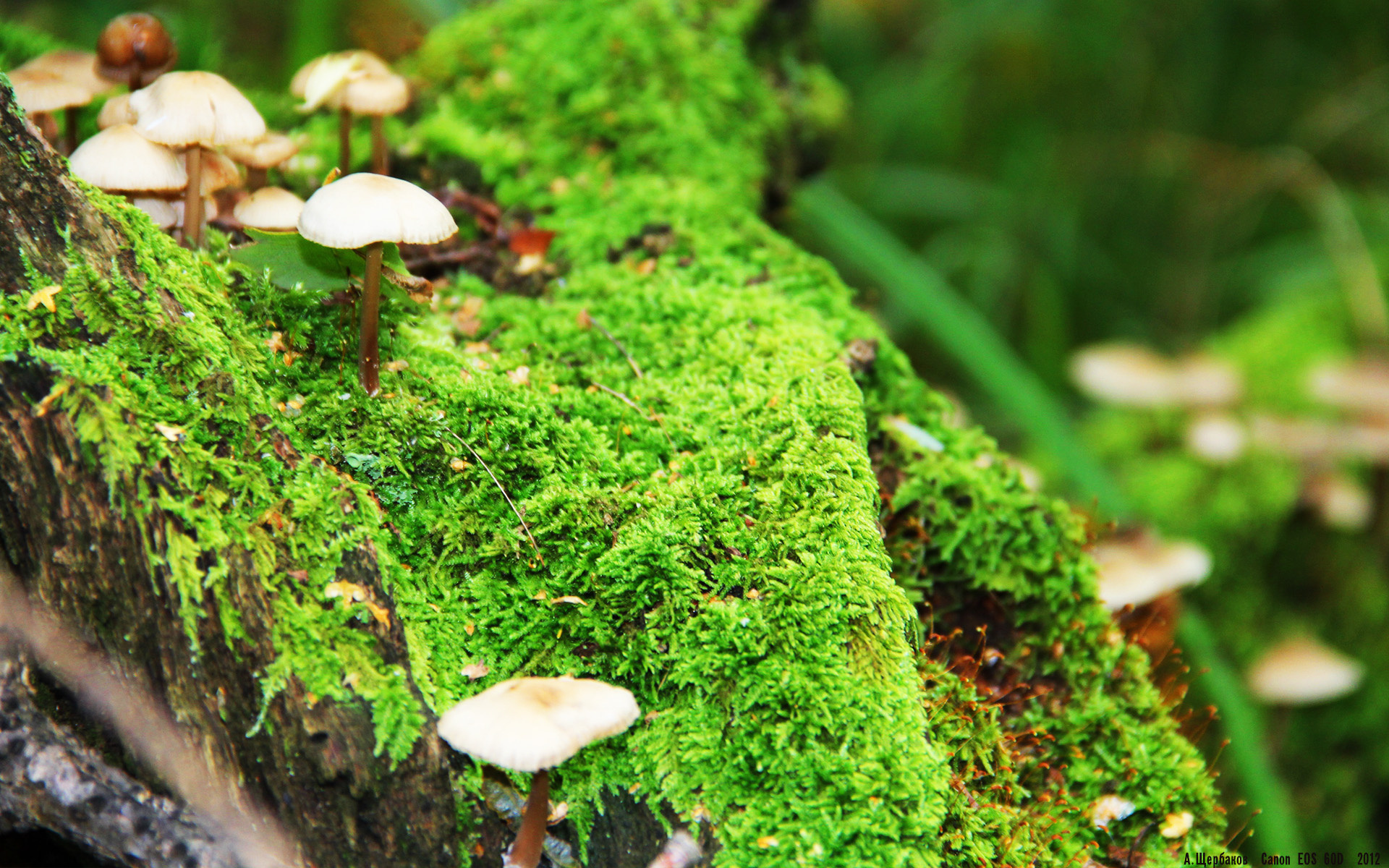 当北境之王遇见紫禁城，詹姆斯跨时空对决背后的无解哲学