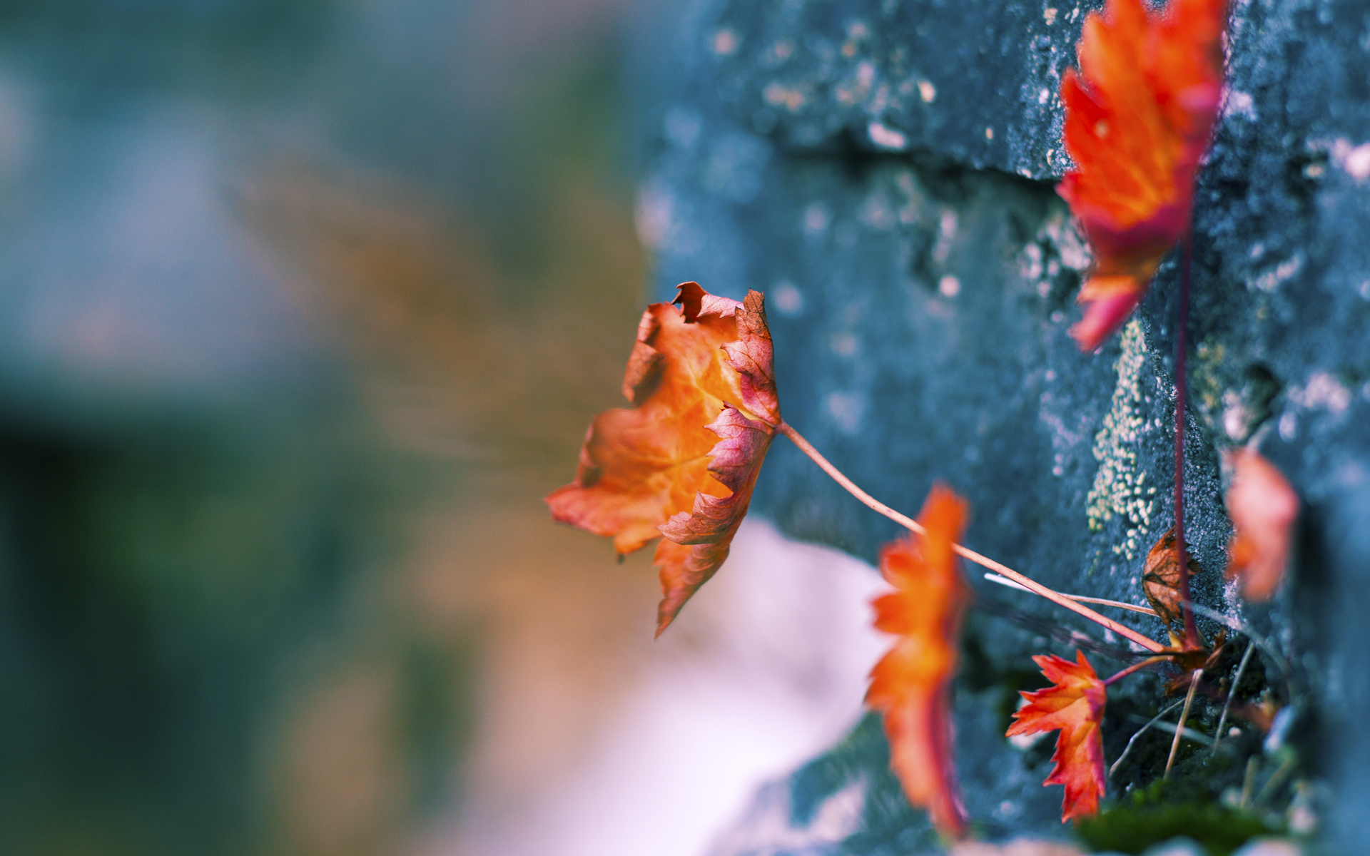 绿茵场上的新黎明，当乌拉圭战术革命击碎巴西神话，久保建英用亚洲星光点亮南美大陆