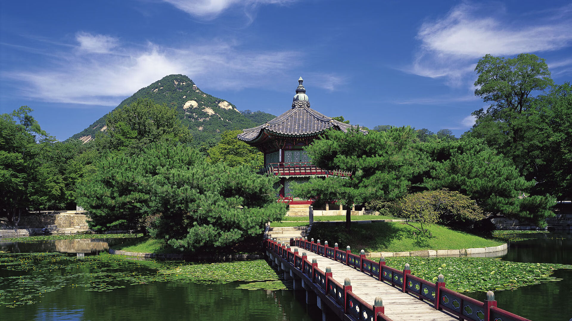 降维打击！杰伦格林空降CBA狂轰49分，吉林队轻取步行者创平行宇宙奇迹