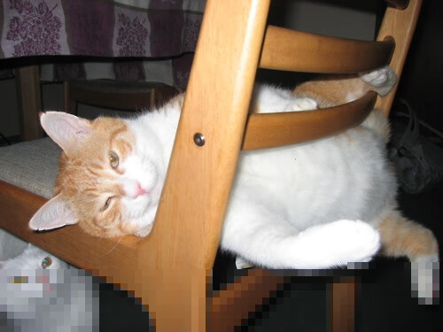 足球欧冠篮球魂,字母哥的跨时空攻防转换核心之战