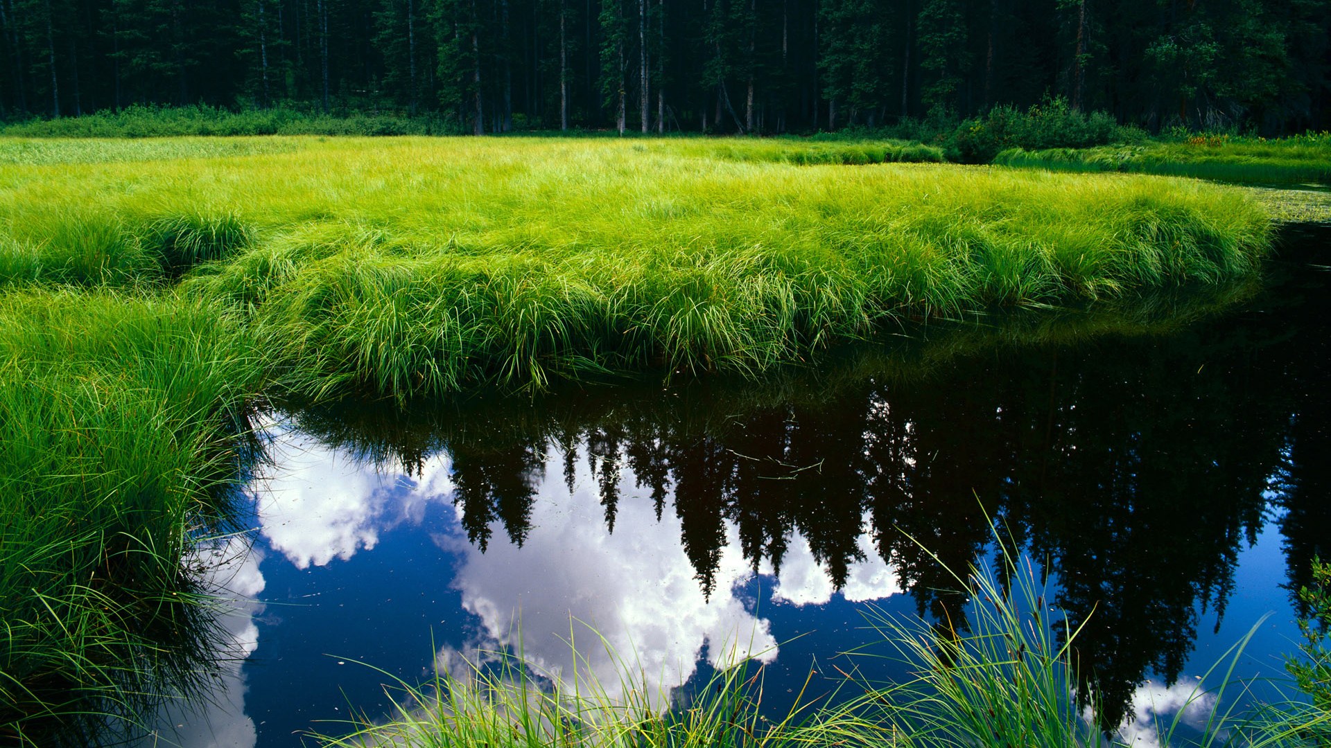 足球欧冠篮球魂,字母哥的跨时空攻防转换核心之战