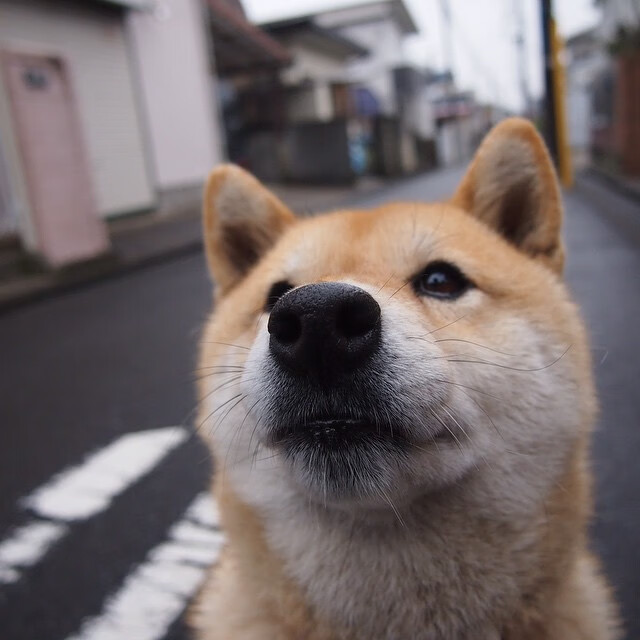 体育的尽头是英雄主义，当福登与瑞士队在同一秒写下唯一