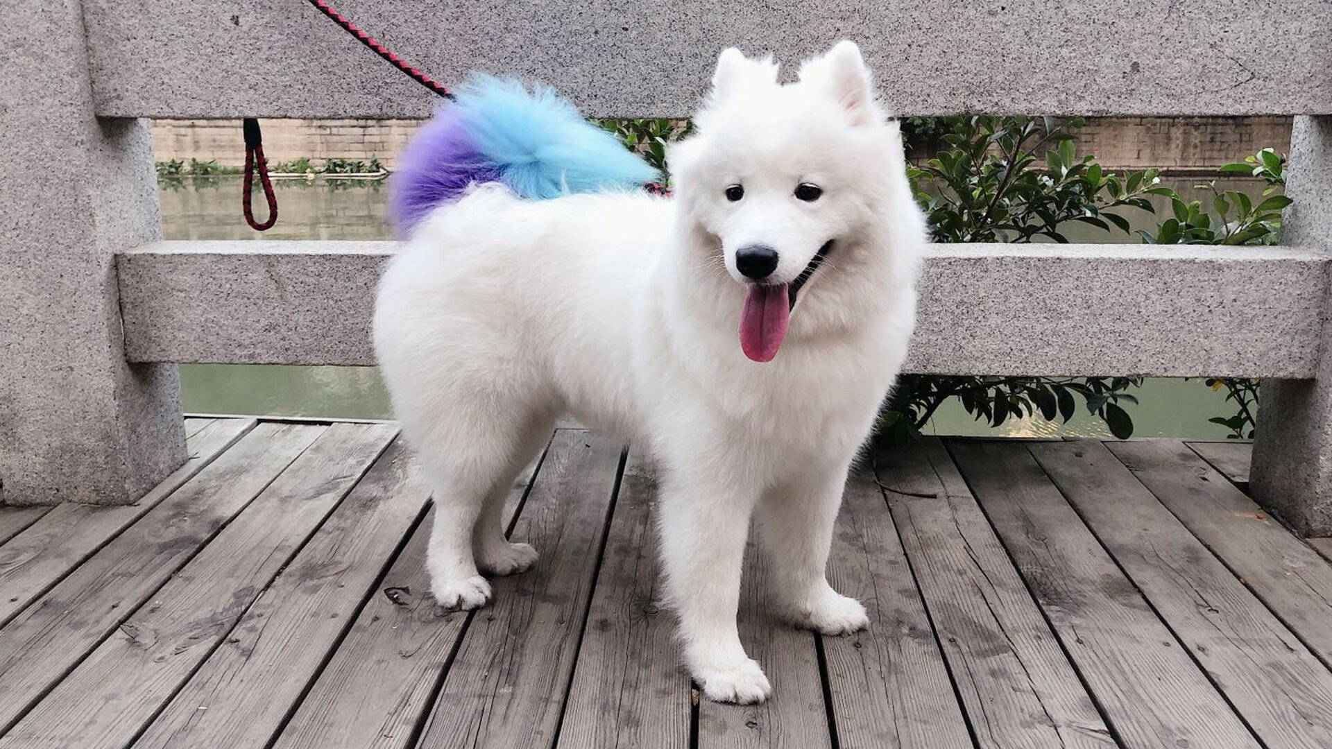 奥运利刃出鞘,福克斯接管比赛之夜,美国男篮险中求胜