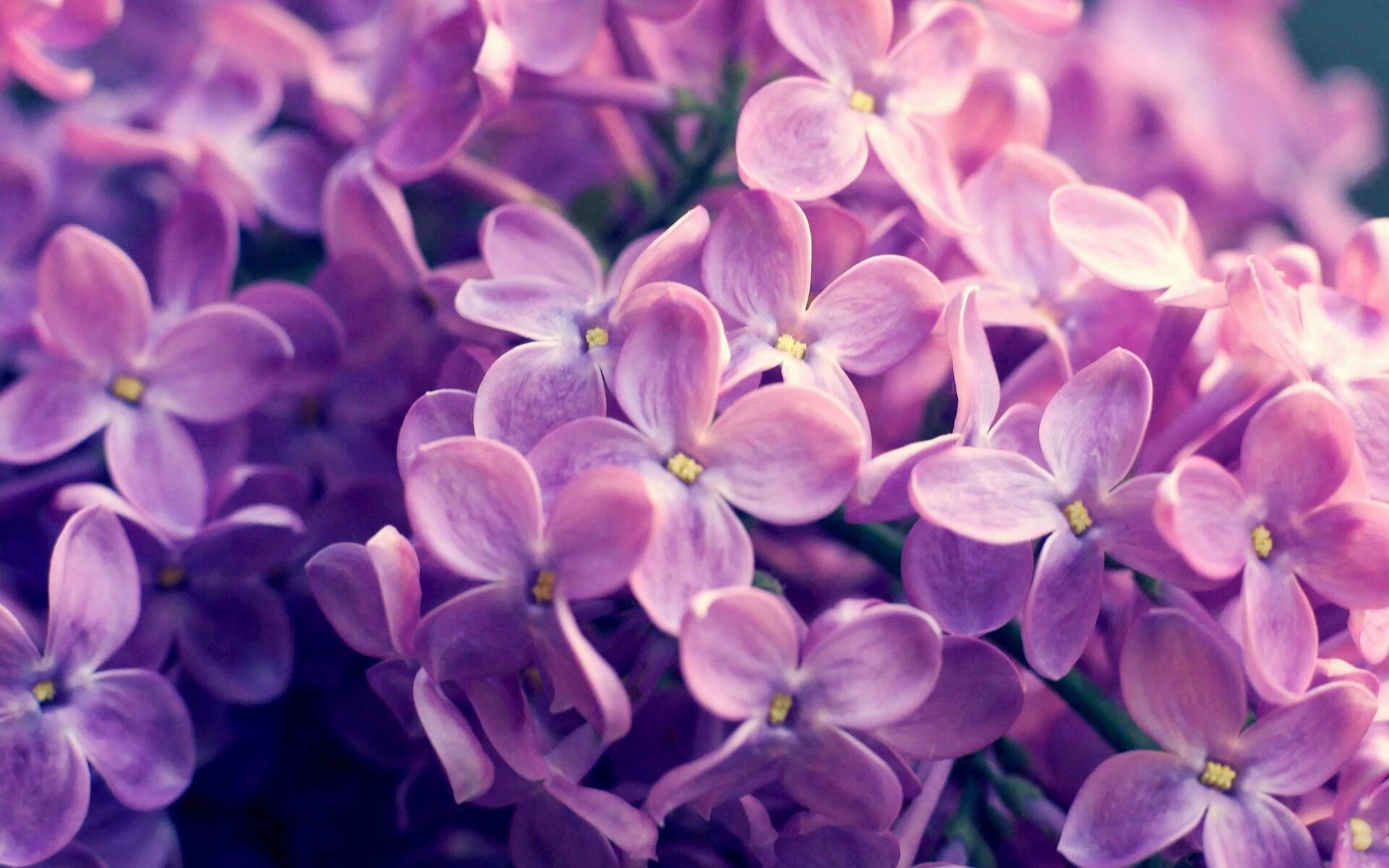 开云体育在线-火箭升空夜，鲍尔在绿茵场投下三分雨