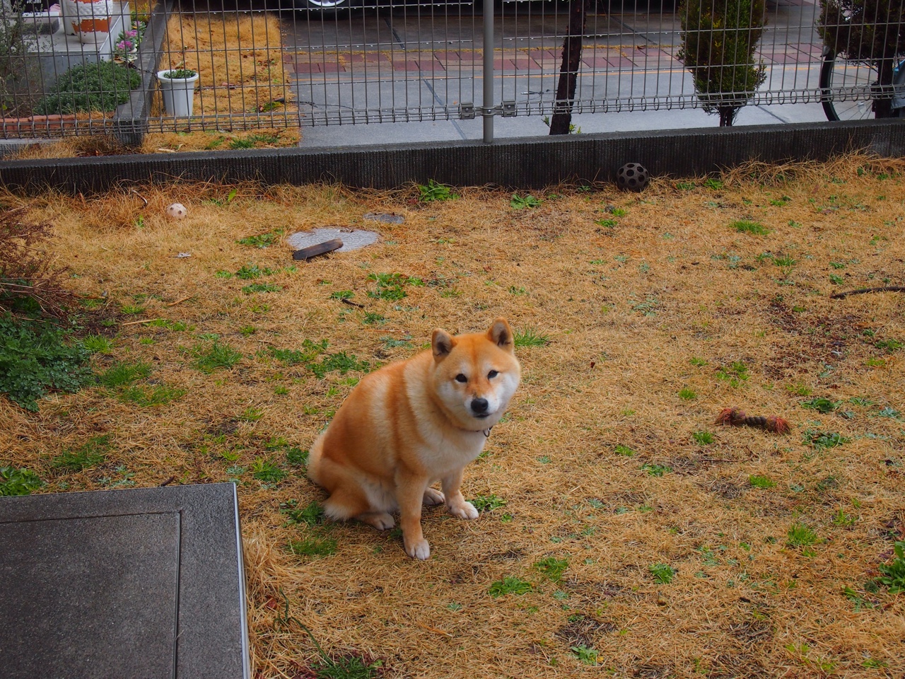 不可复制的雨战，那场为阿劳霍而踢的威尔士与牙买加之争