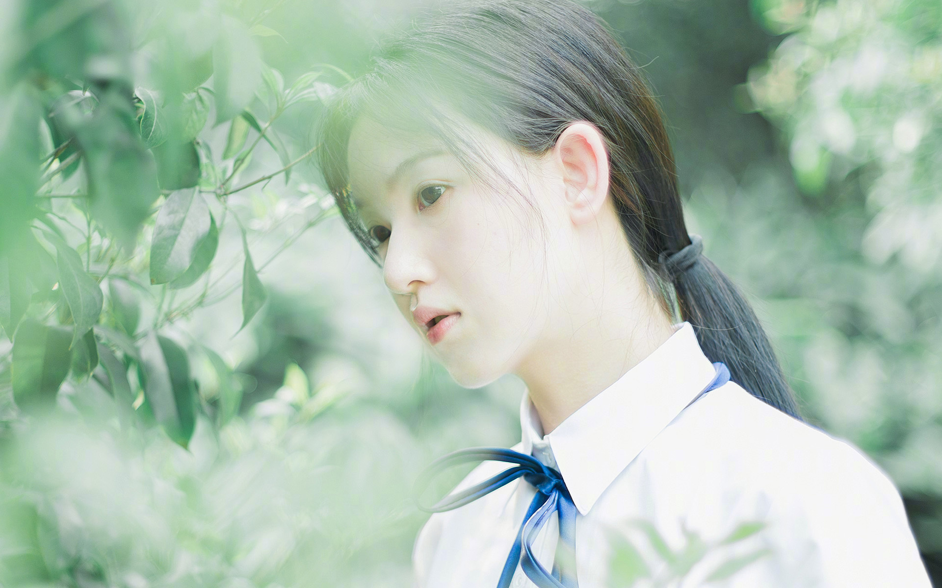 2026世界杯焦点战，古罗马军团的意志，比利时黄金一代的黄昏