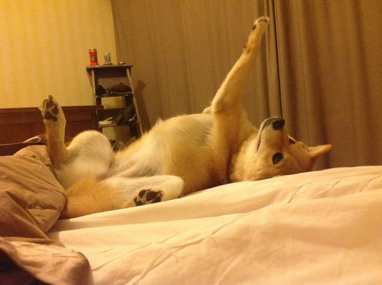 跨时空的绝杀，当保罗的冷血遇上辽宁的坚韧