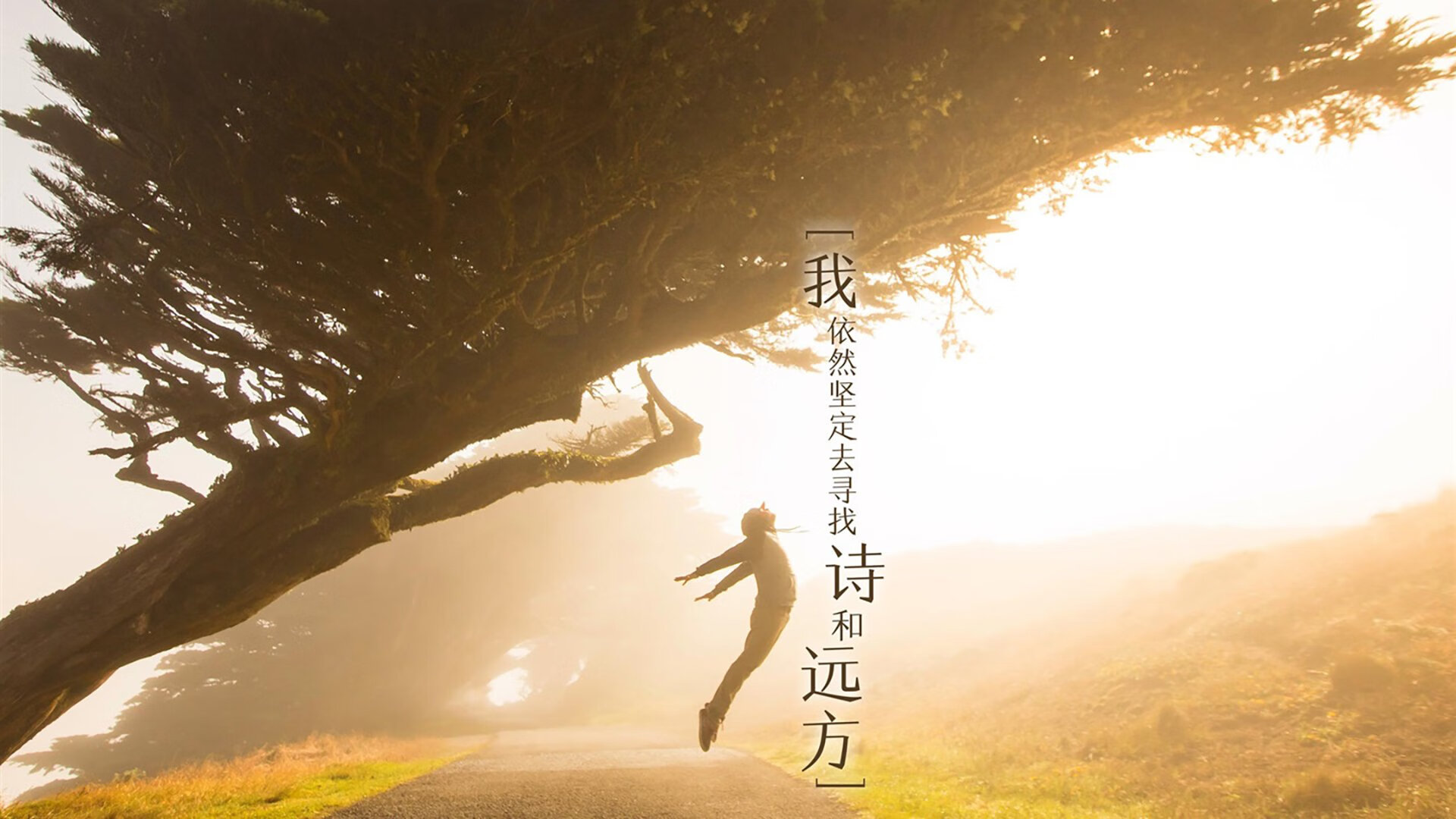蓝武士的独奏，久保建英与2026世界杯B组那场唯一的完胜
