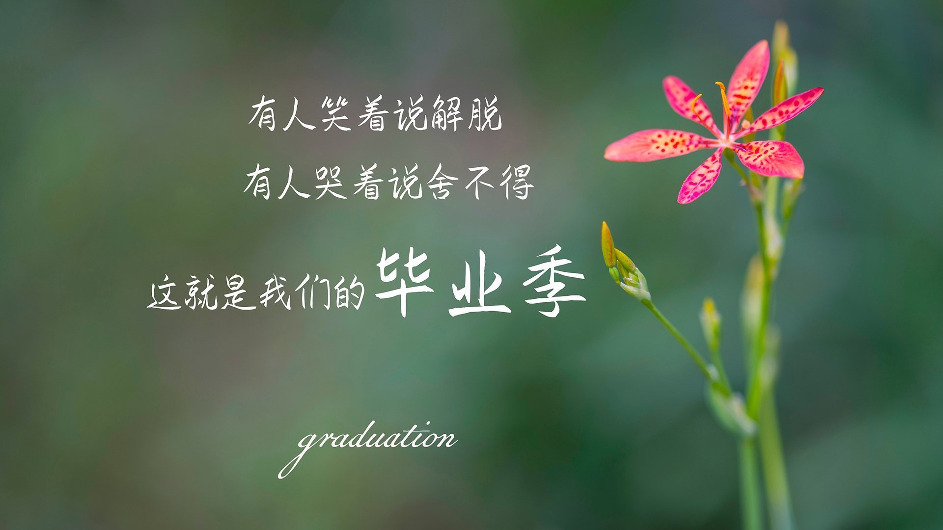 蓝白军团的铁幕，2026世界杯E组，乌拉圭如何用一场战术压制宣告南美霸权回归